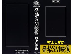 アナル,ごっくん,バイブ,縛り・緊縛,SM,看護婦・ナース